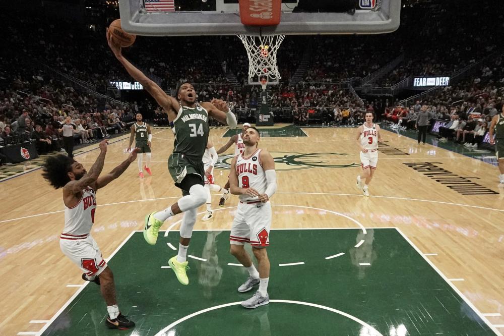 皇家社会本 皇家社会本